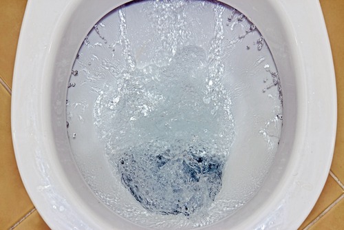 What Is Causing the Vibrating Sounds When I Flush My Toilet?