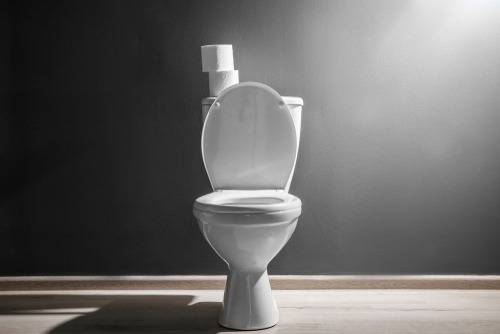 Making a Case for the Black Toilet