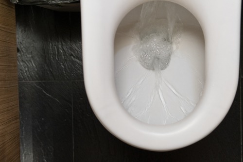 Clogged Toilets Can Be A Real Drain