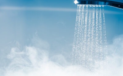 showerhead