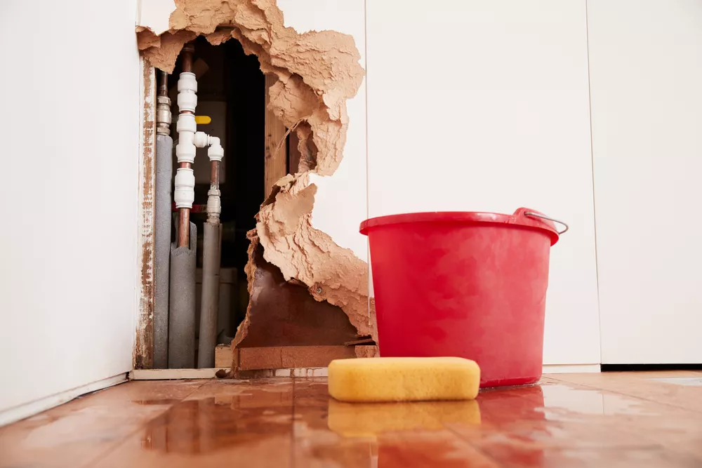 Damaged Wall with Exposed Pipes. Red bucket and yellow sponge on wet wooden floor.